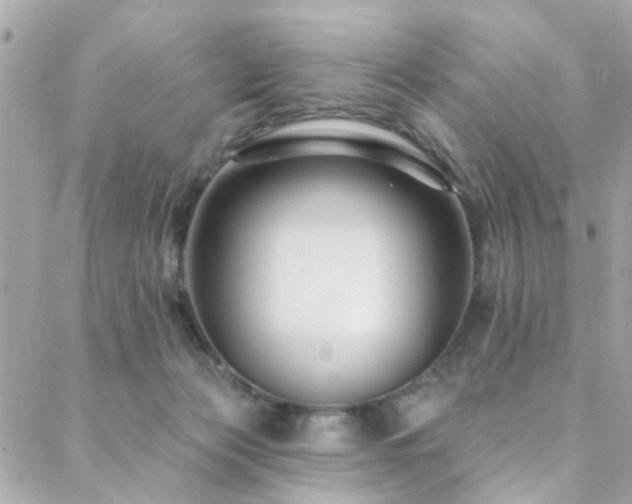 X0000088410173200705221157