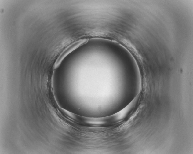 X0000088410201200705221156