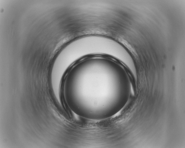 X0000088410207200705221156