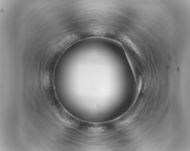X0000088410213200705221156