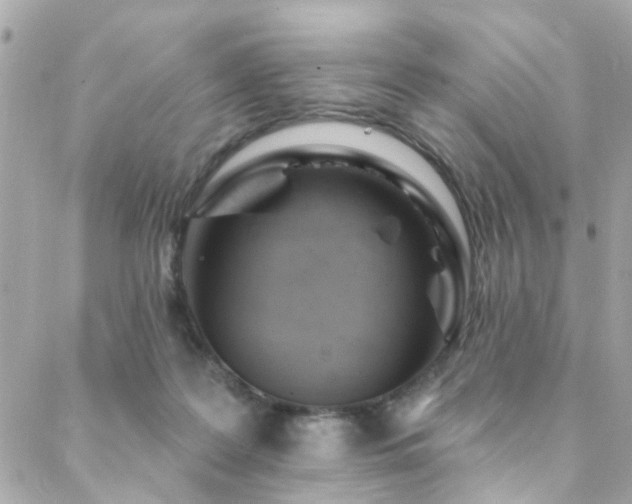 X0000088410219200705221156
