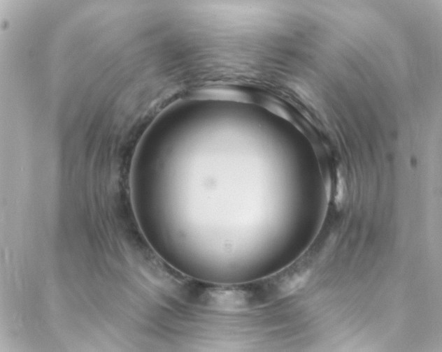 X0000088410221200705221156
