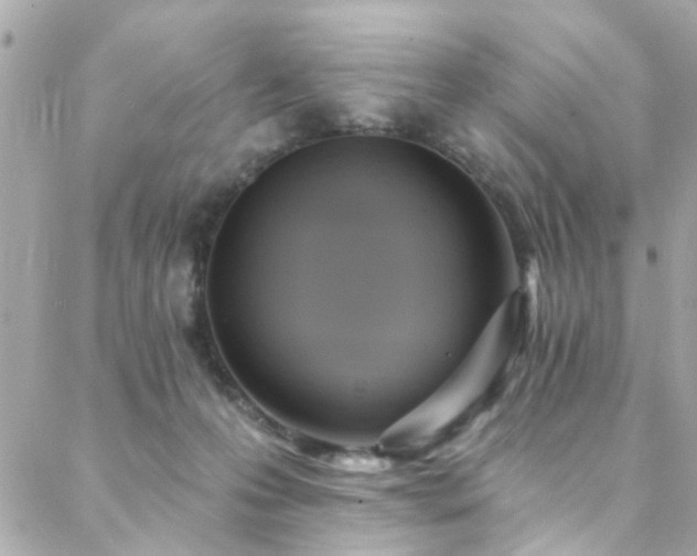 X0000088410223200705221156