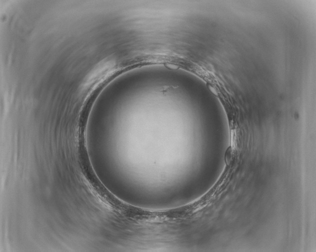 X0000088410243200705221155