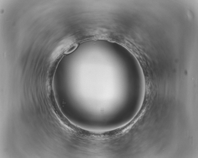 X0000088410245200705221155