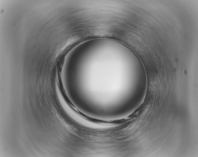 X0000088410256200705221155