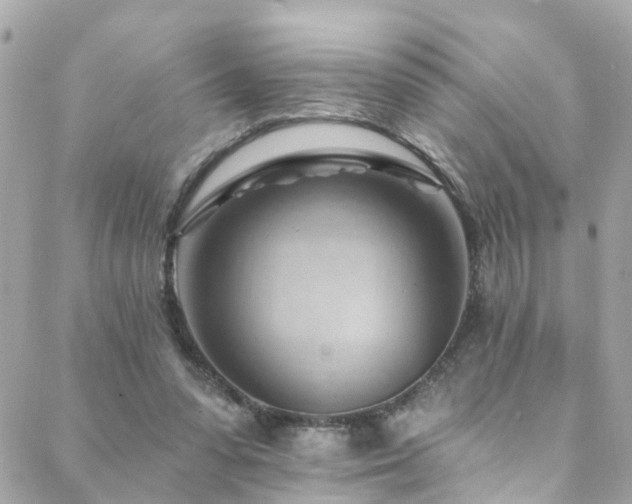 X0000088410303200705221155