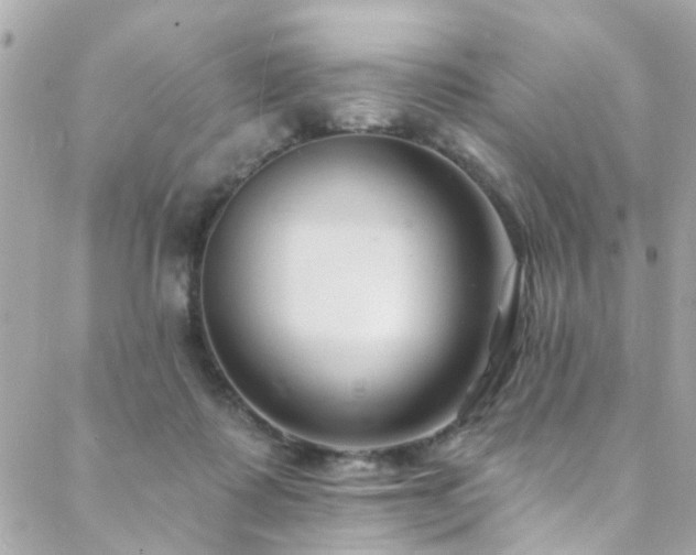 X0000088410315200705221155