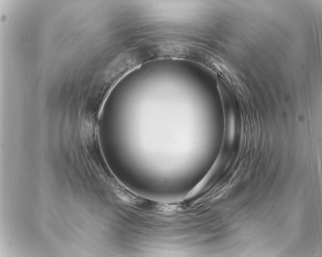 X0000088410333200705221154