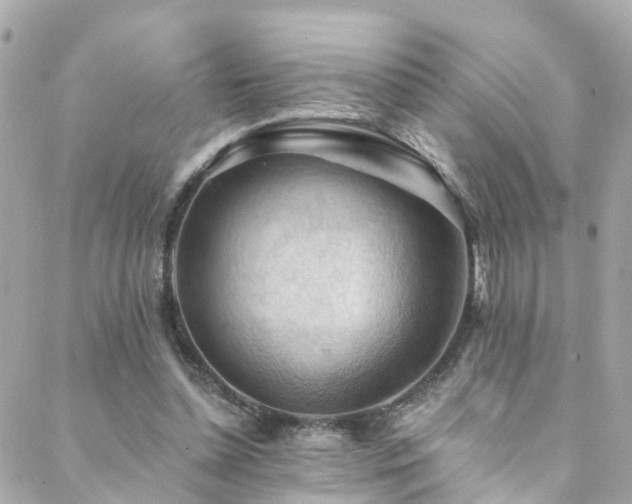 X0000088410348200705221154