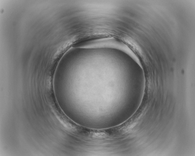X0000088410401200705221153