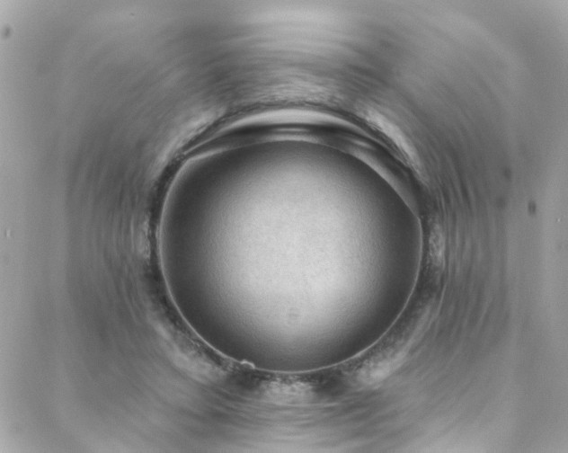 X0000088410403200705221153