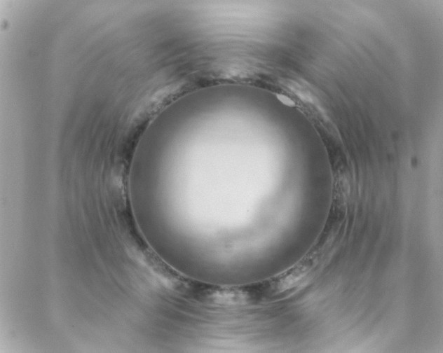 X0000088410415200705221153