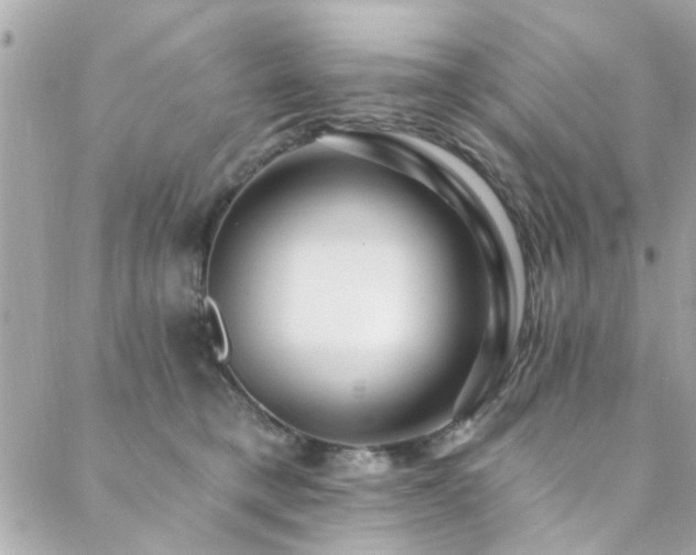 X0000088410421200705221153