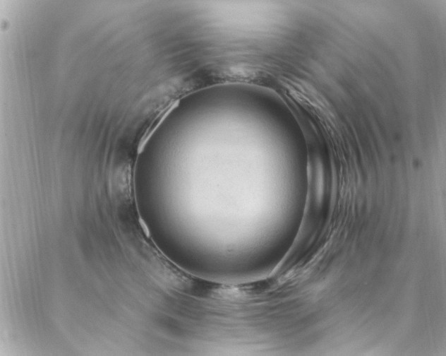 X0000088410425200705221153