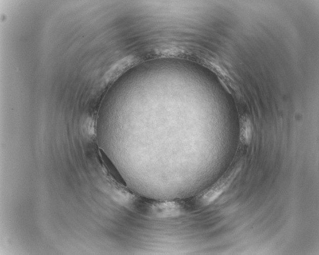 X0000088410431200705221153