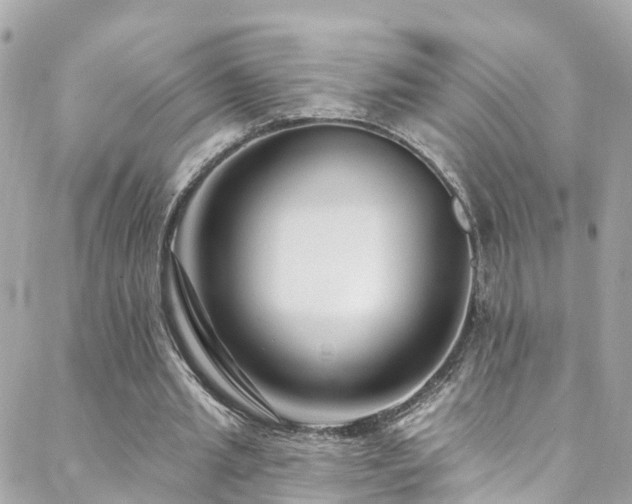 X0000088410437200705221152