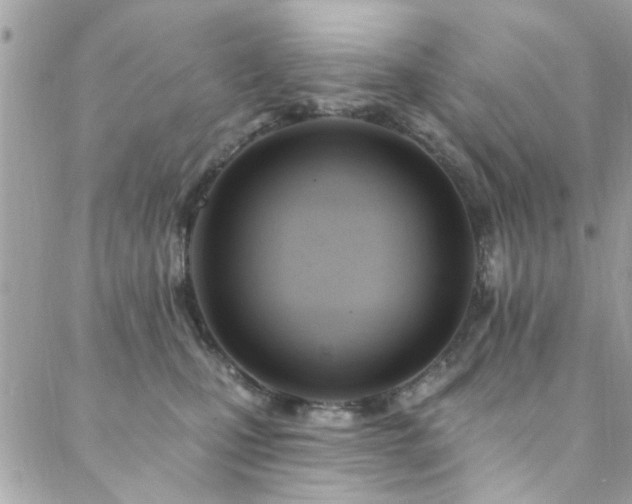 X0000088410471200705221152