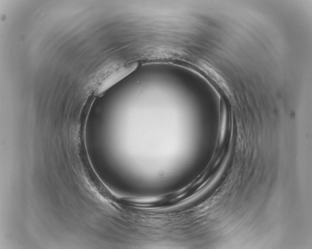 X0000088410485200705221152