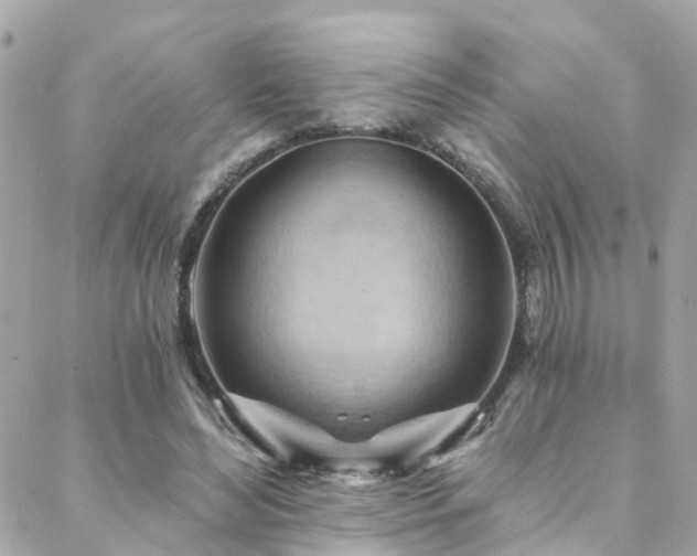 X0000088410492200705221152