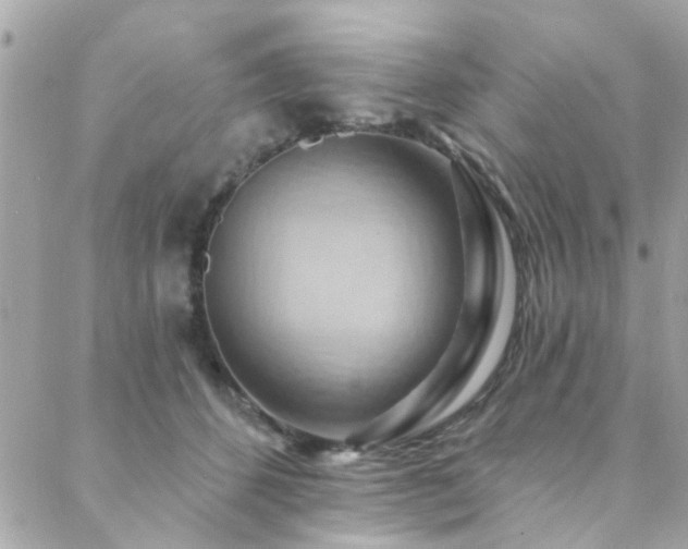X0000088410512200705221151