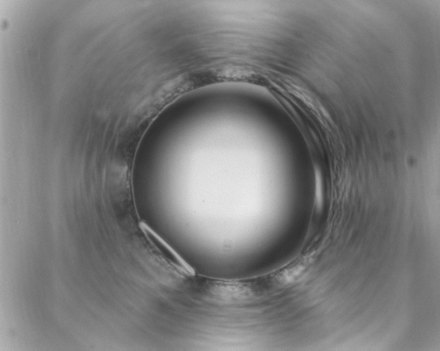 X0000088410521200705221151