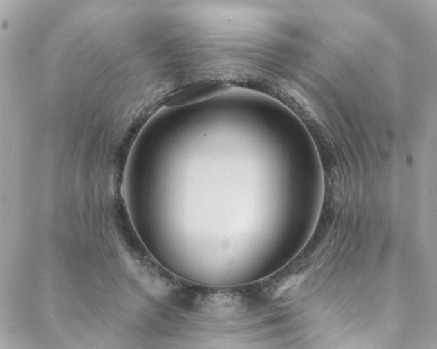X0000088410546200705221151