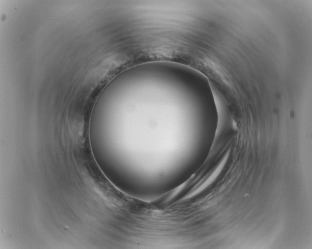 X0000088410548200705221151
