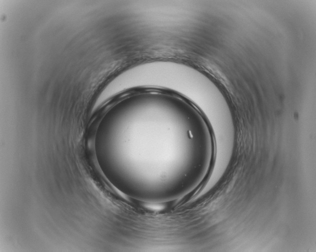 X0000088410593200705221150