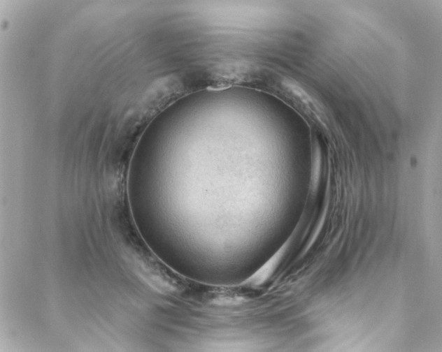 X0000088410601200705221150