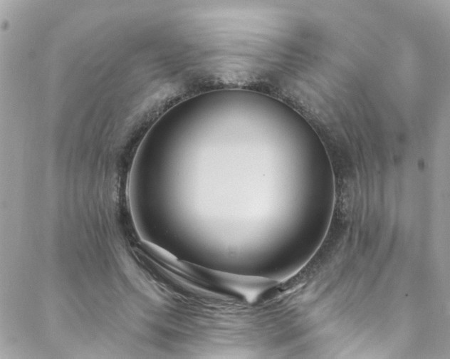 X0000088410639200705221149