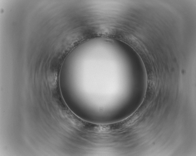 X0000088410660200705221149