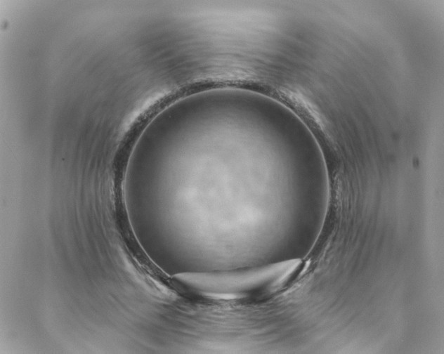 X0000088410684200705221148