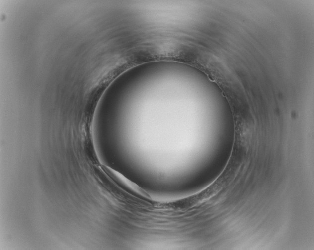 X0000088410746200705221147