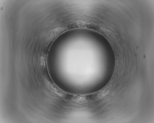 X0000088410768200705221148