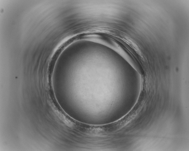 X0000088410784200705221147
