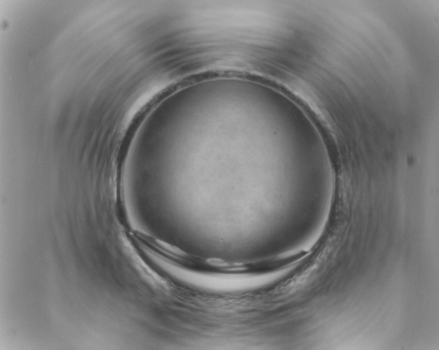 X0000088410791200705221147