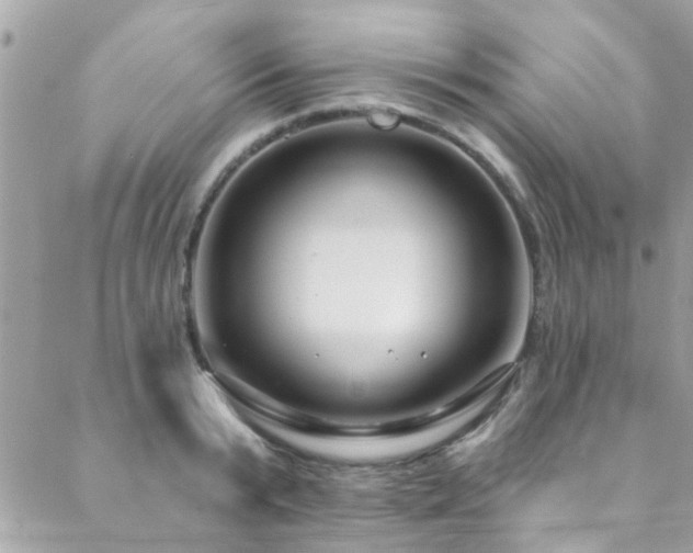 X0000088410799200705221147