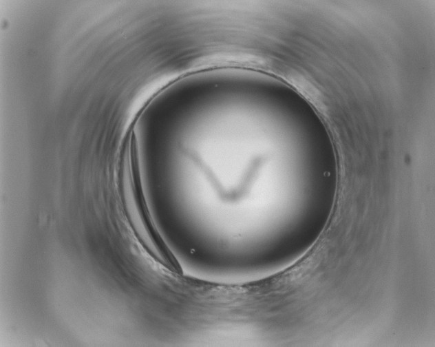 X0000088410912200705221145