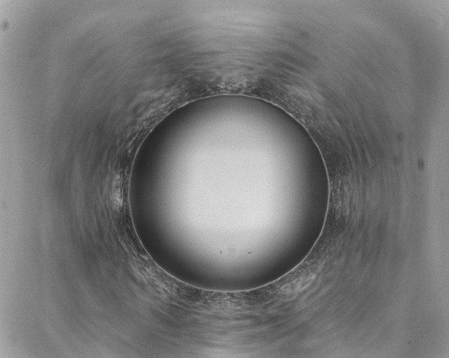 X0000088410962200705221144