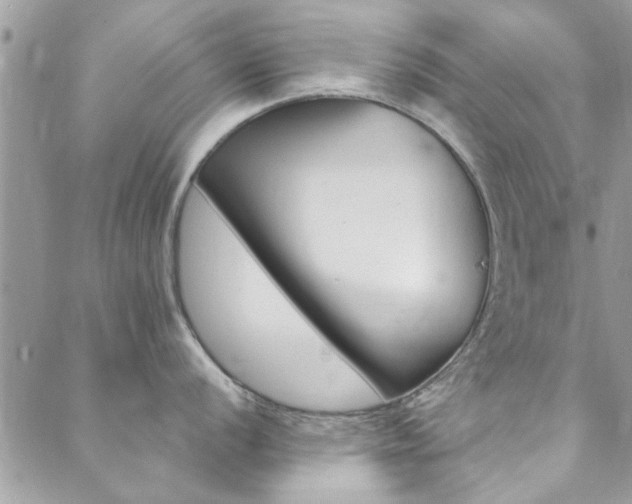 X0000088411056200705221143
