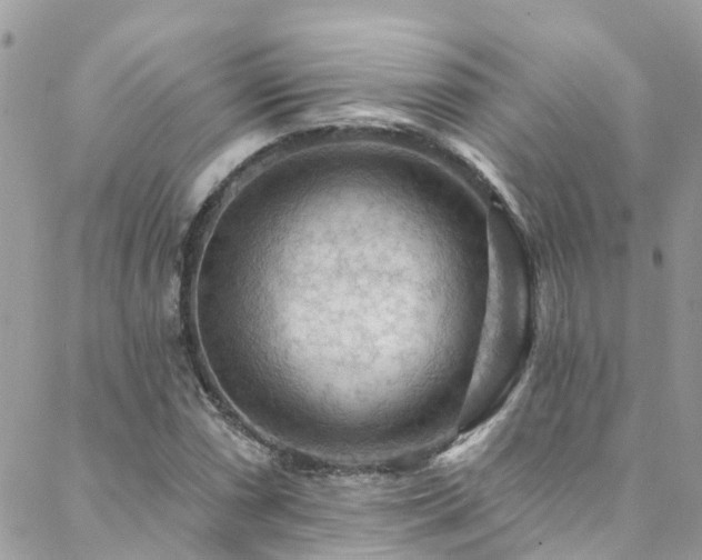 X0000088411066200705221142