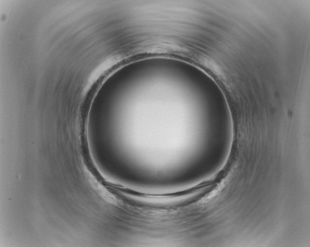X0000088411122200705221141
