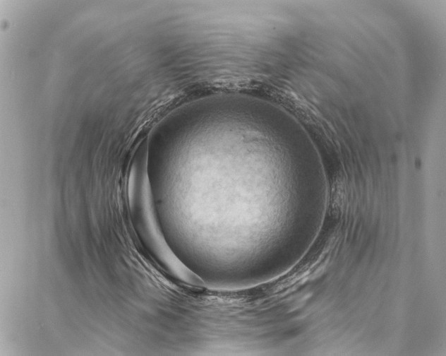 X0000088411202200705221139