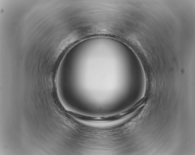 X0000088411218200705221139