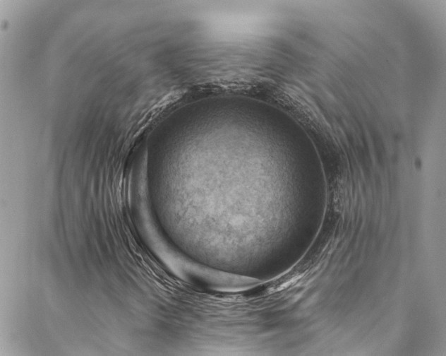 X0000088411298200705221138
