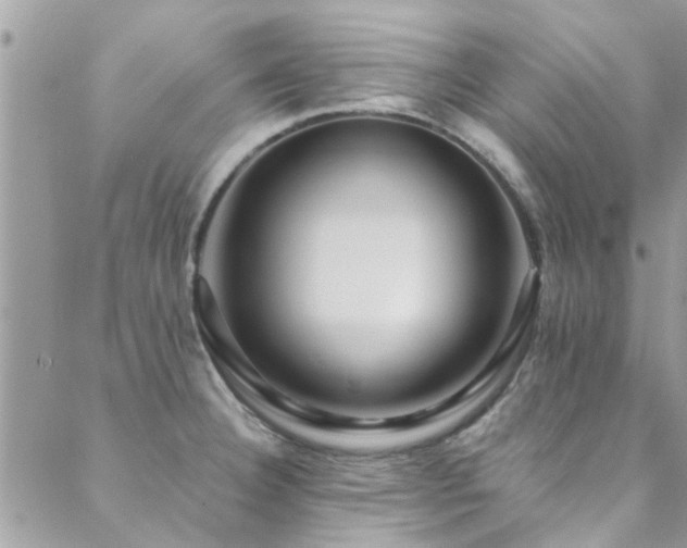 X0000088411332200705221138