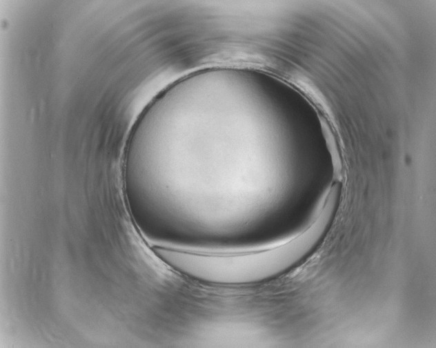 X0000088411344200705221138