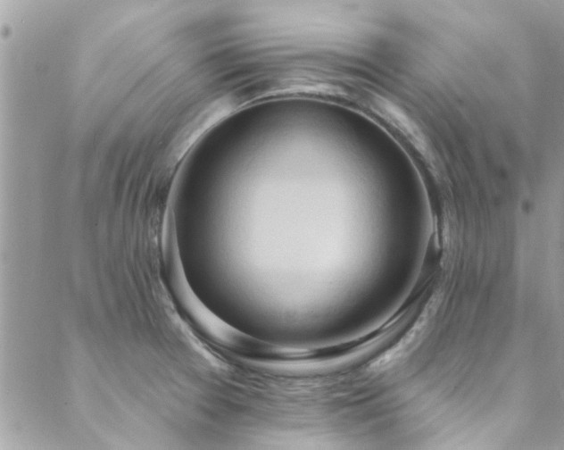 X0000088411377200705221137