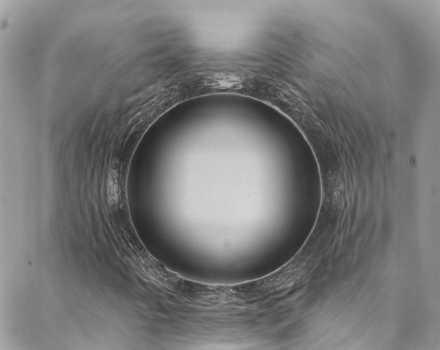 X0000088411442200705221136